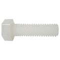 Not Graded, 5/16"-18 Hex Head Cap Screw, Plain Nylon, 2-1/2 in L, 10 PK