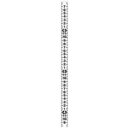 Security Ruler Tape, 2x36 in, Adhesive Mylar