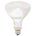 GE LIGHTING 250W, R40 Incandescent Heat Light Bulb