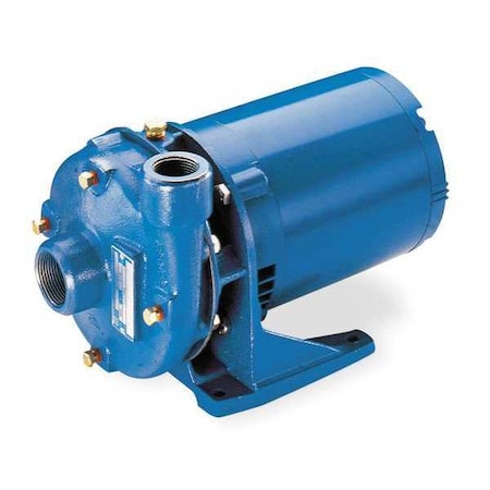 Cast Iron 2 HP Centrifugal Pump 115/230V