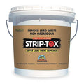Lead Paint Remover, 1gal Tub, SolventBase