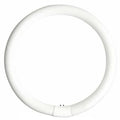 GE LIGHTING 22W, T9 Circular Fluorescent Light Bulb