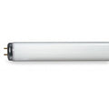 Fluorescent Linear Lamp, T12, Warm, 3000K