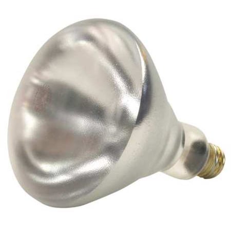 SHAT-R-SHIELD 250W, R40 Incandescent Light Bulb