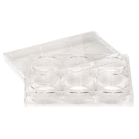 6 Well Tissue Culture Plate w/Lid, PK50 (Formerly Lab Safety Supply)