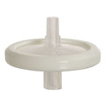 Syringe Filter, PTFE, 0.45um, 30mm, PK30