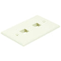 WallPlate, Blank, 2 Hole, Ivory