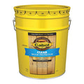 Clear Wood Protector, 5 Gallon
