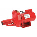 Jet Pump,1/2 HP,Premium ODP,115/230V