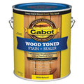 Exterior Stain, Natural, Toned Flat, 1 gal.