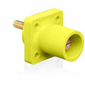 Plugs and Receptacles