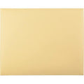 Filing Envelope, Cameo Buff, PK100