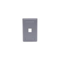 Hubbell IFP11 Single Gang Faceplate - 1 x Socket(s) - 1-gang - Gray