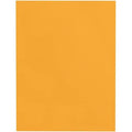 Catalog Envelope, Light Brown, Kraft, PK100