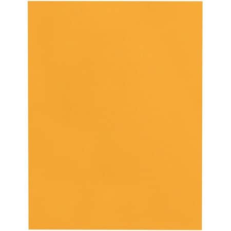 Catalog Envelope, Light Brown, Kraft, PK100