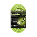 Pro Extension Cord, 14/3 AWG SJTW, 25,