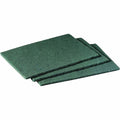 Scouring Pad, 9 in x 6 in W x 1/4 in H, Fiber/Resin, Multipurpose, Green, PK20