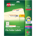 TrueBlock File Folder Labels, 2/3, PK750