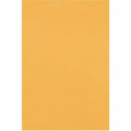 Catalog Envelope, Lt Brown, Kraft, PK250