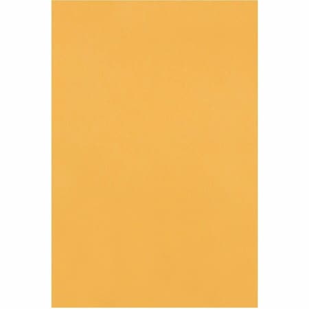 Catalog Envelope, Lt Brown, Kraft, PK250
