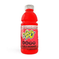 Sugar Free Sports Drink Fruit Punch 20 oz., PK24