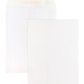 Filing Envelope, White, Wove, PK100