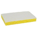 Scrubber Spongee, 6" L, 3-5/8" W, PK20