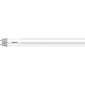 LinearLEDBulb, MedBi-Pin(G13), T8, 32W, 1PK