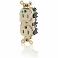Duplex Straight Blade Receptacle, 5-15R, 15 A, 125V AC, 2 Pole, 3 Wire, Surface Mount, Grounded