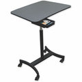 Mobile Adj. Stand, Black, 44in H x 22in L
