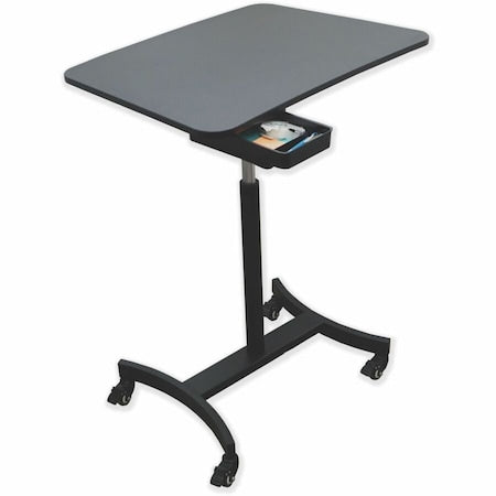 Mobile Adj. Stand, Black, 44in H x 22in L