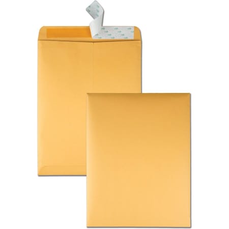 Catalog Envelope, Lt Brown, Kraft, PK100