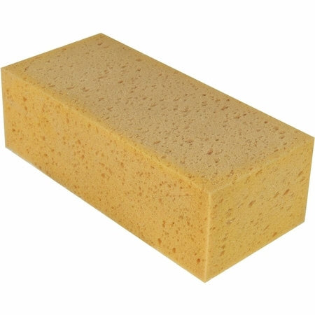The Sponge