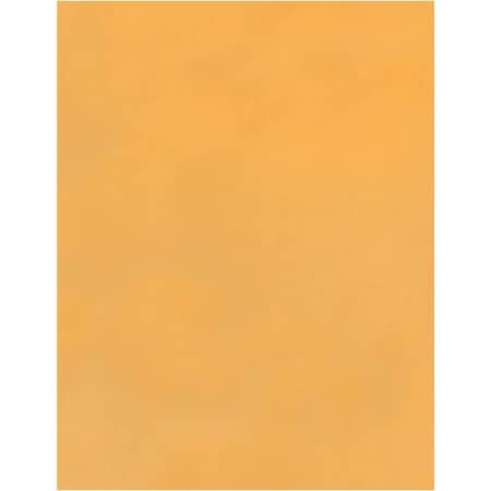 Catalog Envelope, Light Brown, Kraft, PK100