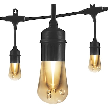 Cafe Lights, 48 ft., 24 Bulb