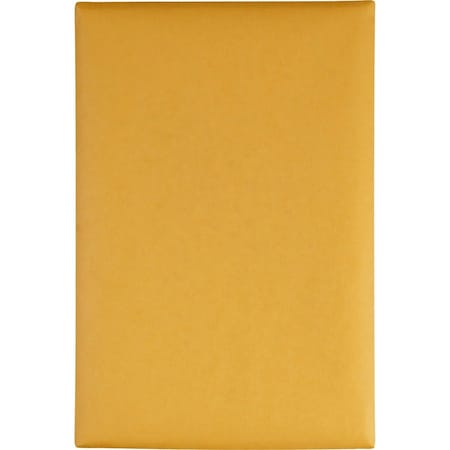 Catalog Envelope, Light Brown, Kraft, PK100
