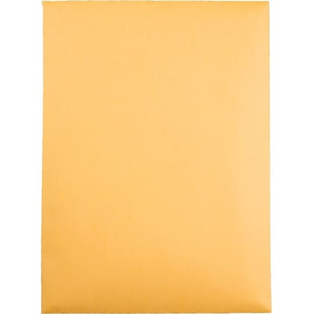 Catalog Envelope, Lt Brown, Kraft, PK100