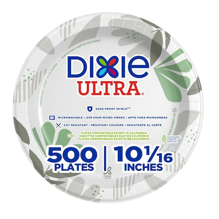 Disposable Paper Plate, 10 1/16 in, Pathways, Multi Color, PK500