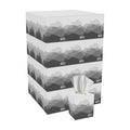 Pacific Blue Basic® 2-Ply Facial Tissue By Gp Pro (Georgia-Pacific), Cube Box, 36 Boxes Per Case
