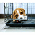 P-Tex Polycarbonate Dog Crate Floor Protector - 35" x 47"