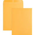 Catalog Envelope, Brown, Kraft, PK250