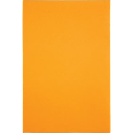 Catalog Envelope, Light Brown, Kraft, PK500
