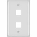 WallPlate, Blank, 2 Hole, White