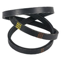 Rear Drive Belt